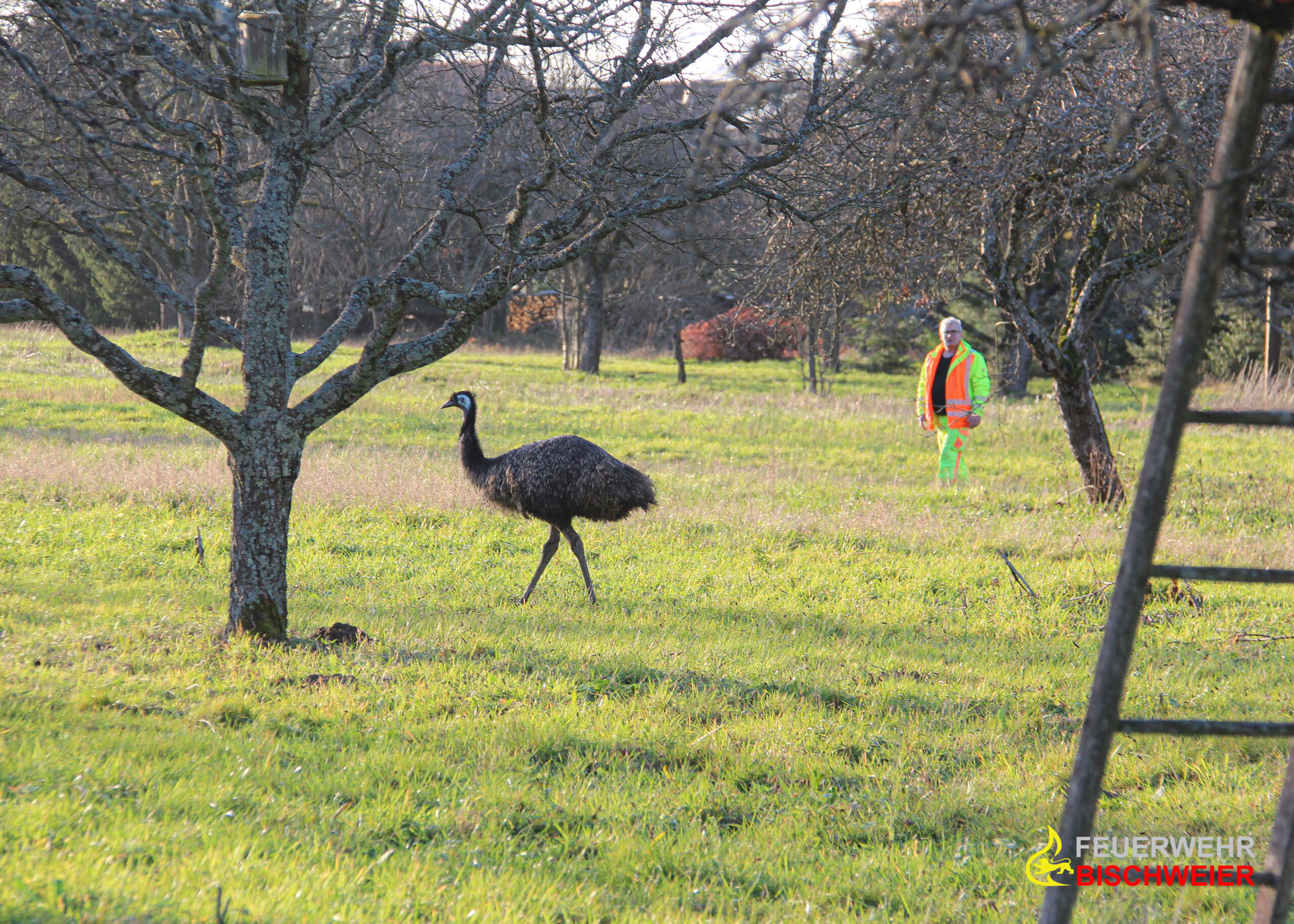 Einsatz 201920 (4) ©Feuerwehr Bischweier